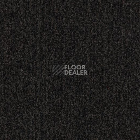 Грязезащитные покрытия Forbo Coral Classic 4750 Warm Black фото 1 | FLOORDEALER